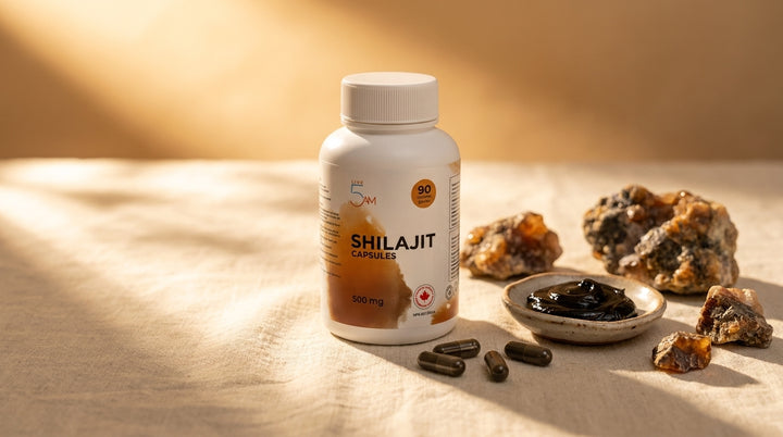 Live 5AM Shilajit 500mg supplement bottle with shilajit resin in a ceramic dish and Himalayan mineral fragments in warm golden light