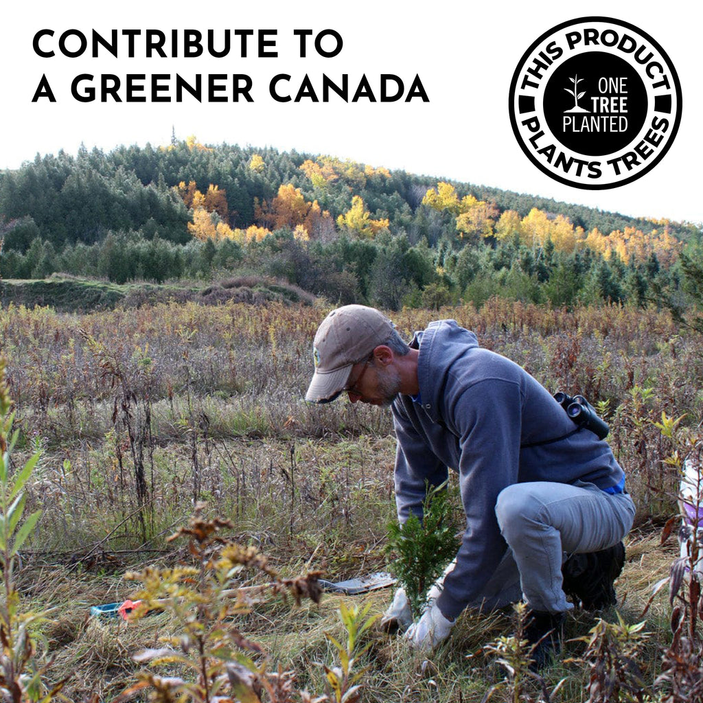 Rhodiola Rosea 200 mg