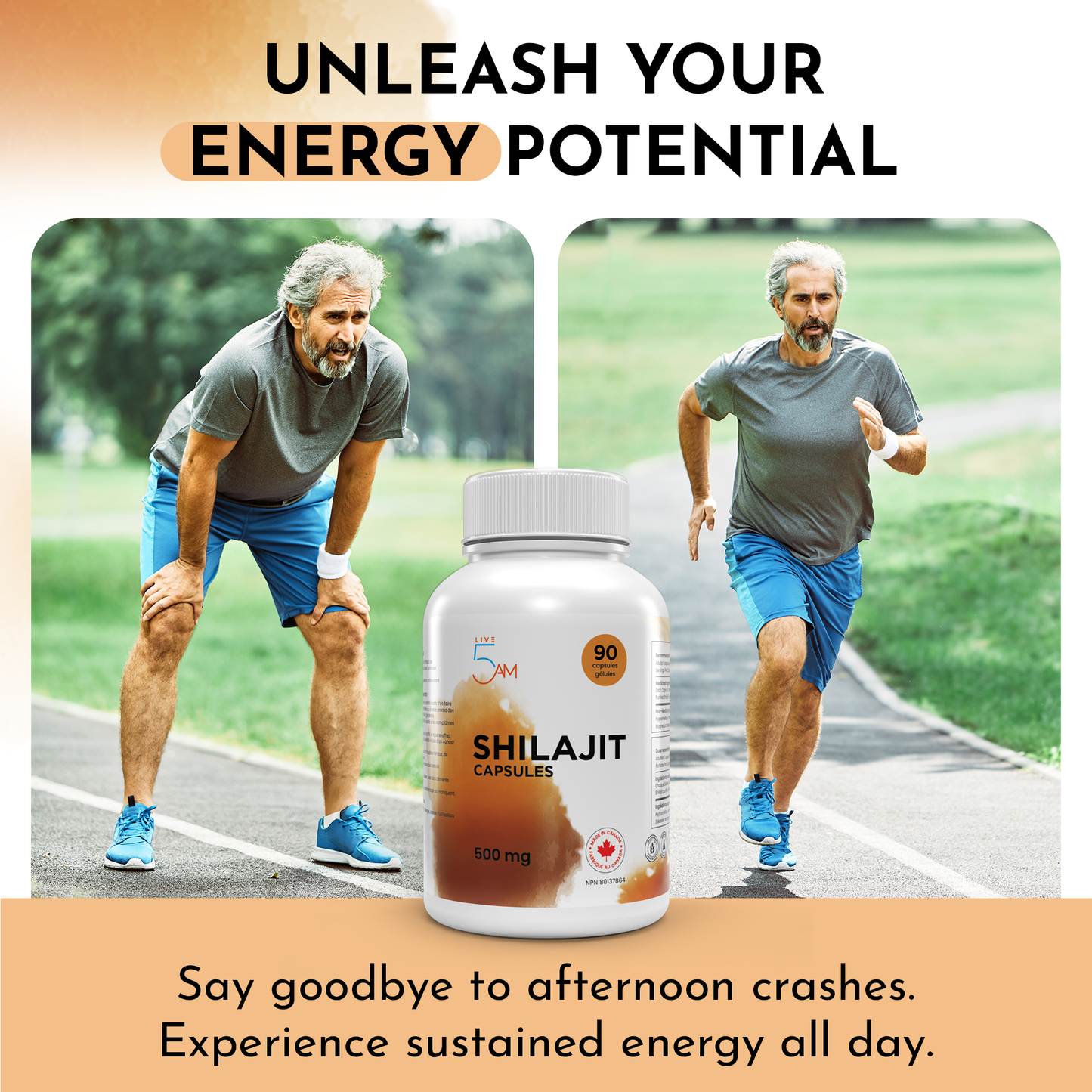 Shilajit 500 mg