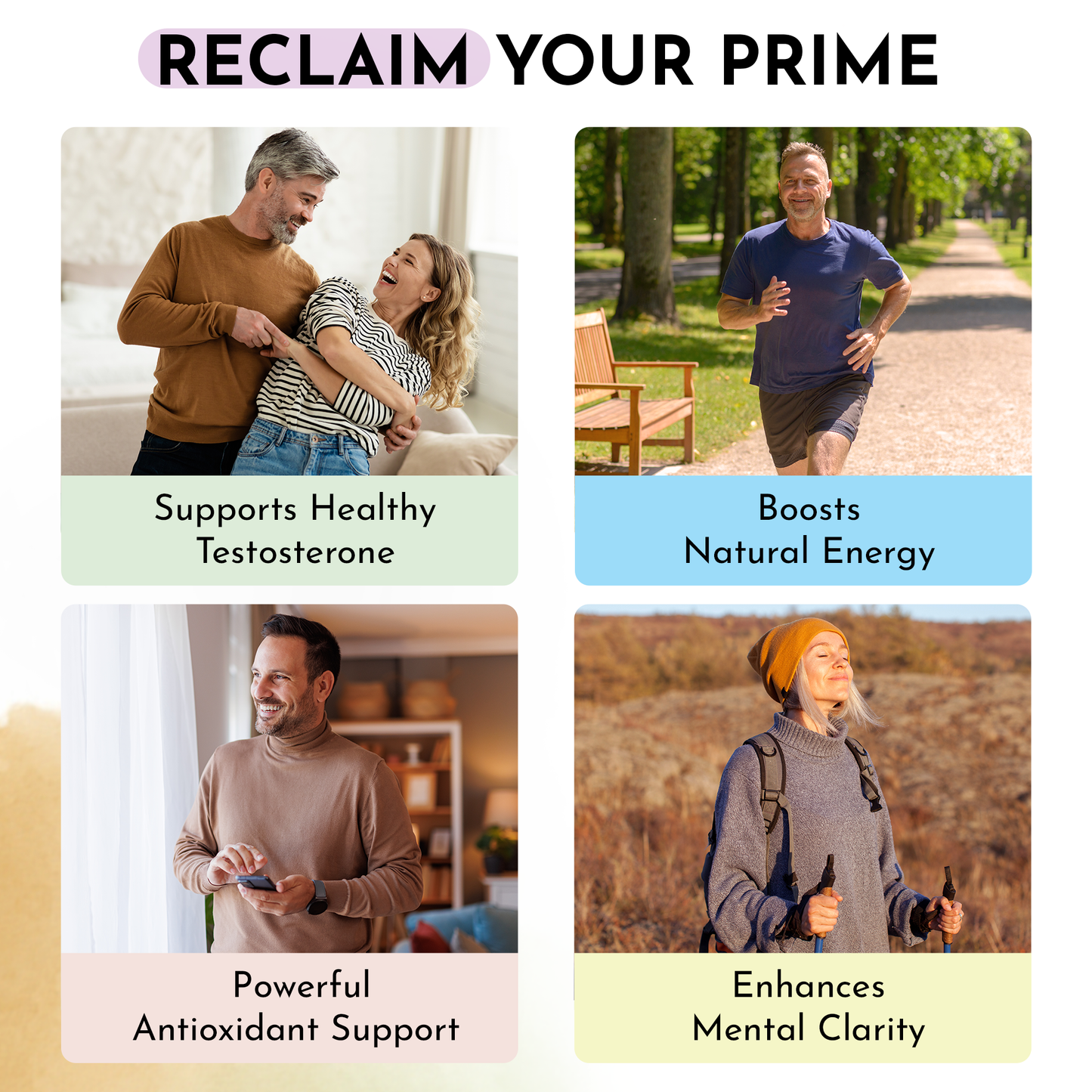 Shilajit 500 mg