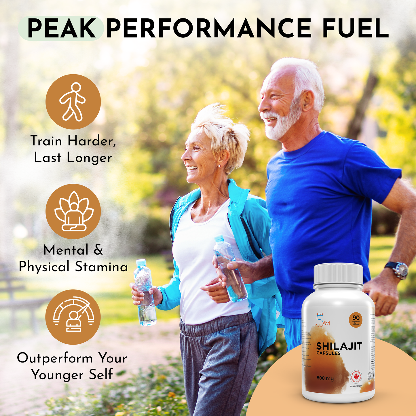 Shilajit 500 mg