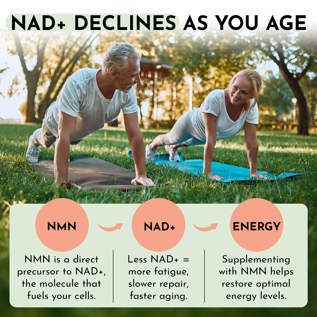NMN 600mg (Nicotinamide Mononucleotide)