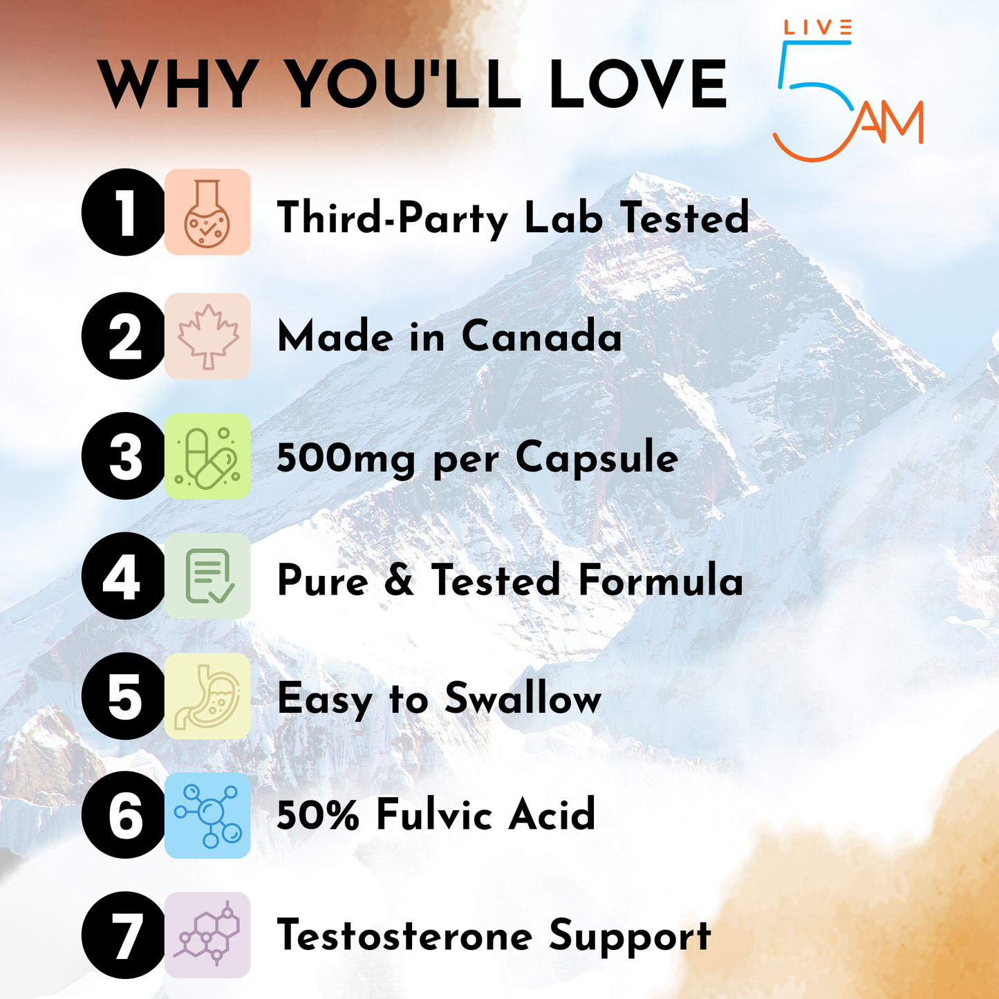 Shilajit 500 mg