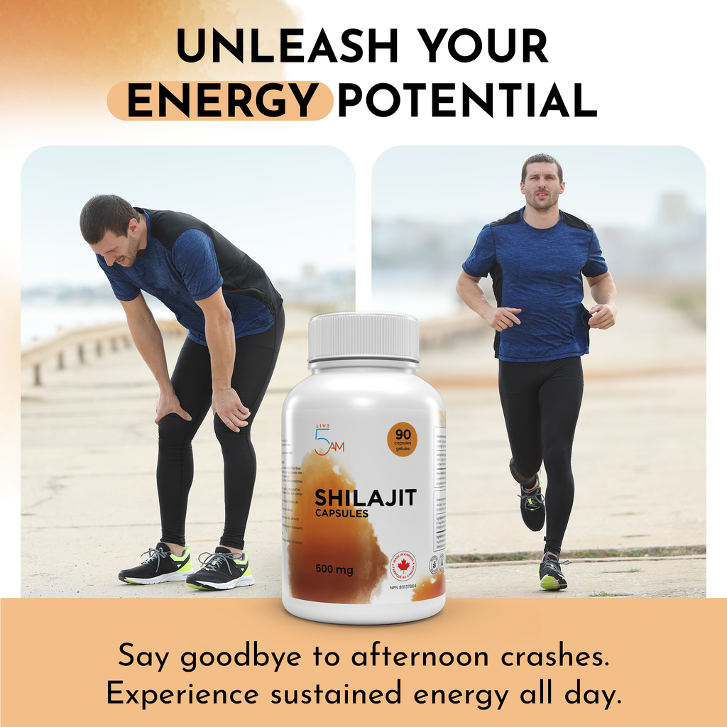Shilajit 500 mg