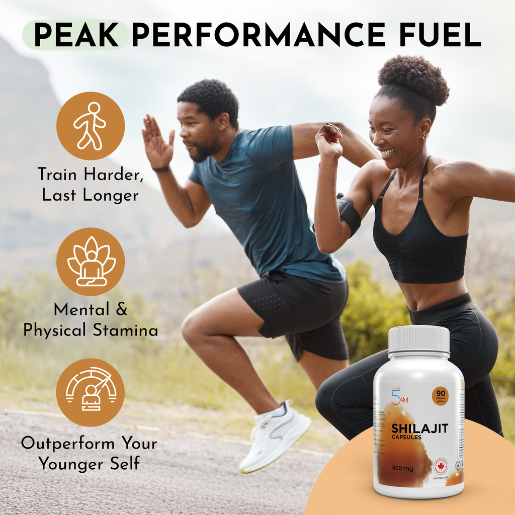 Shilajit 500 mg