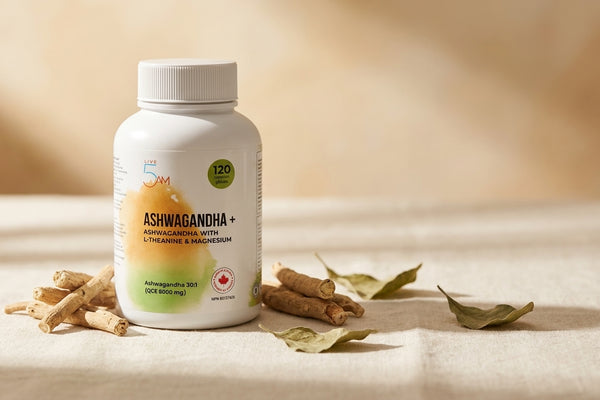 Live 5AM Ashwagandha+ supplement bottle on warm cream linen with fresh ashwagandha root pieces and dried leaves in soft morning light