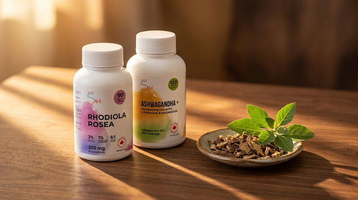 Rhodiola Rosea and Ashwagandha+ bottles side by side on warm walnut wood, with dried herbs and golden morning light