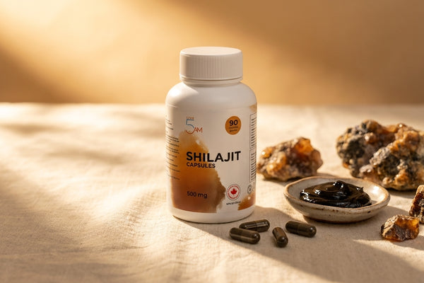 Live 5AM Shilajit 500mg supplement bottle with shilajit resin in a ceramic dish and Himalayan mineral fragments in warm golden light