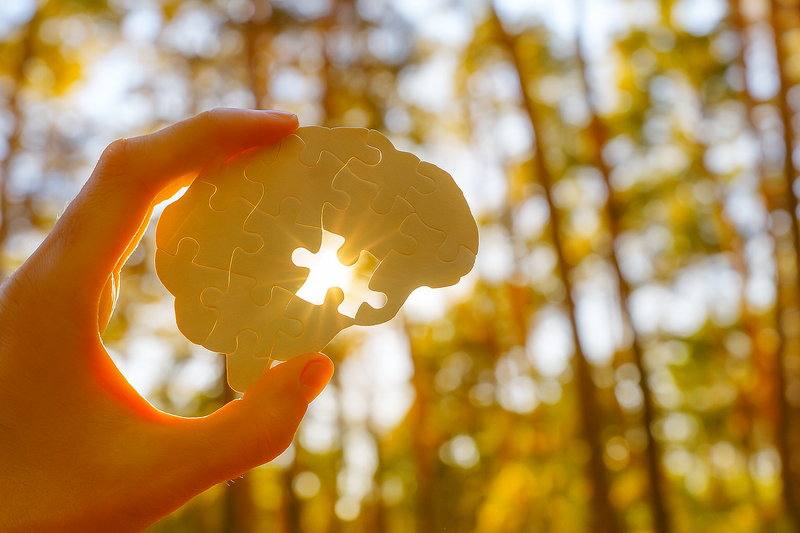Your Brain Runs on More Than Thoughts: Why Minerals Matter for Mental Clarity