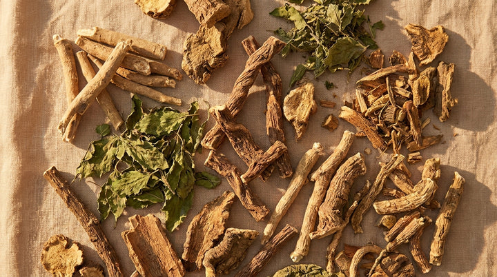 Editorial flatlay of assorted adaptogen roots and herbs including ashwagandha and rhodiola on warm linen in golden-hour light