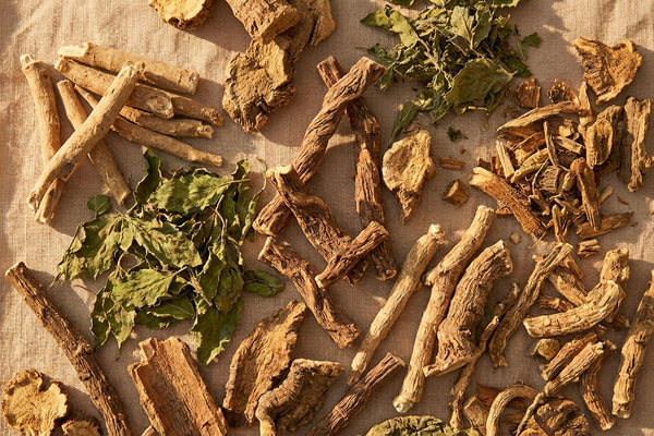 Editorial flatlay of assorted adaptogen roots and herbs including ashwagandha and rhodiola on warm linen in golden-hour light