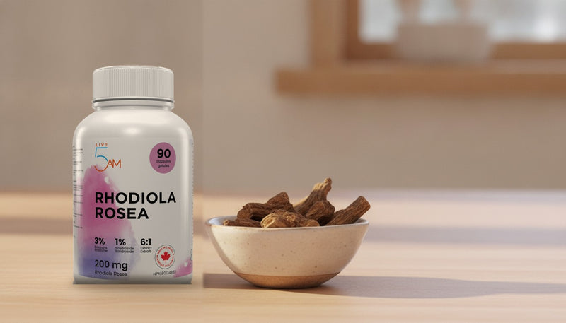 Rhodiola Canada: What to Look For Before You Buy