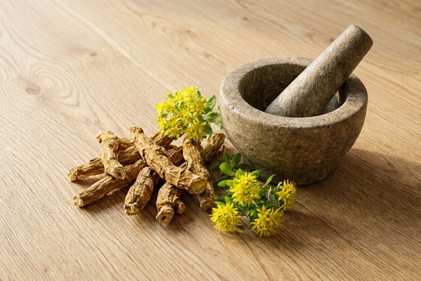 Dried rhodiola golden root and a small sprig of yellow rhodiola flowers on light oak wood in soft morning light