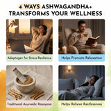 Live 5AM Ashwagandha+ supplement facts and ingredients panel