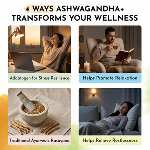 Live 5AM Ashwagandha+ supplement facts and ingredients panel