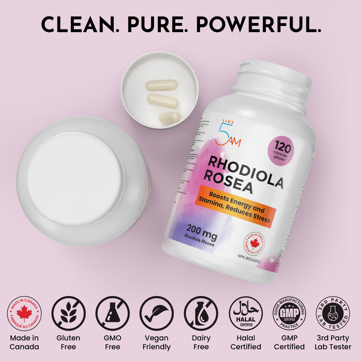 Live 5AM Rhodiola Rosea capsules for stress resilience