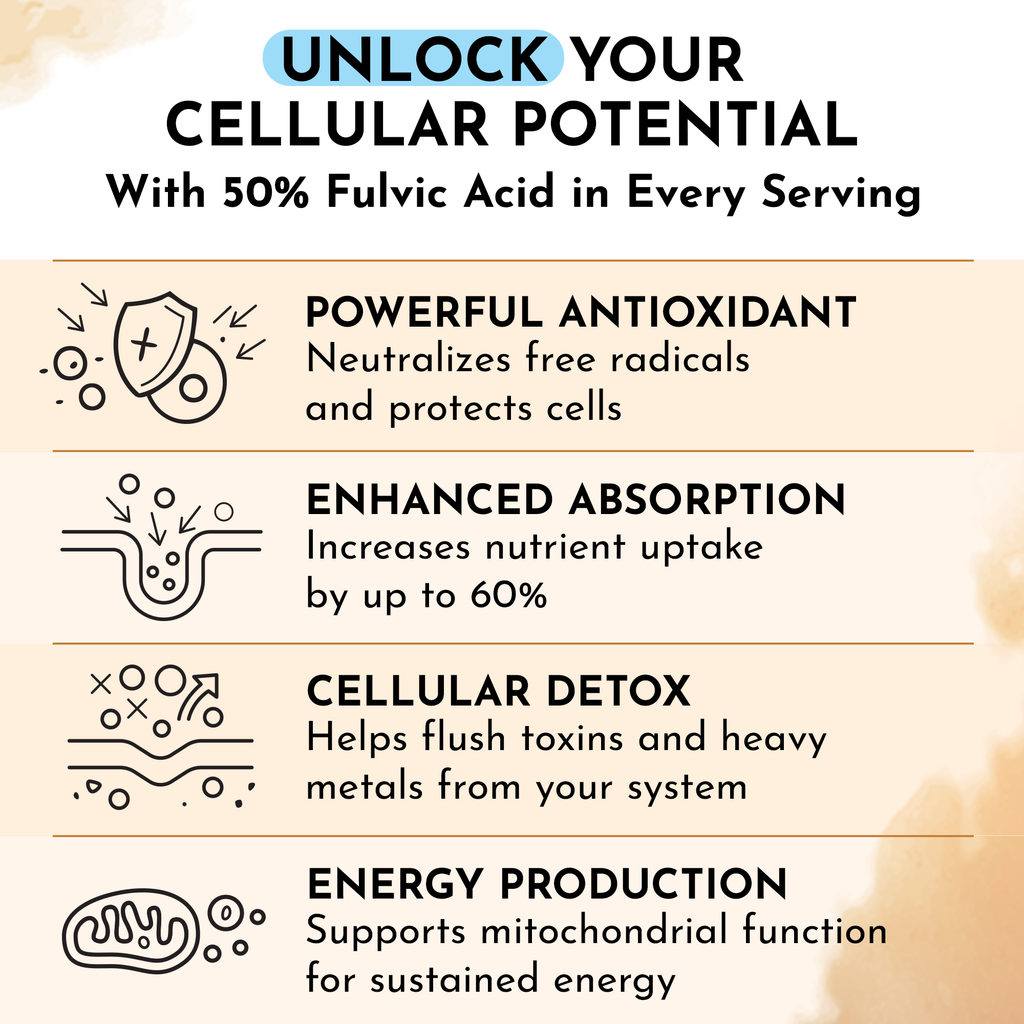 Shilajit 500 mg