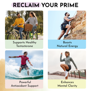 Shilajit 500mg