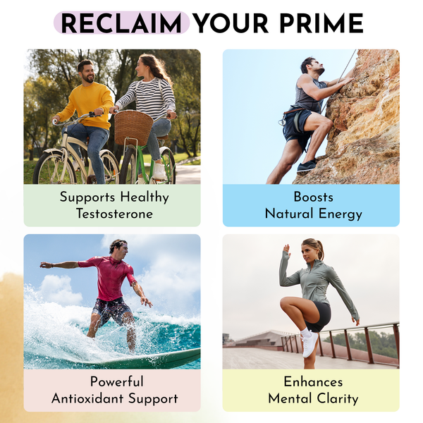 Shilajit 500mg