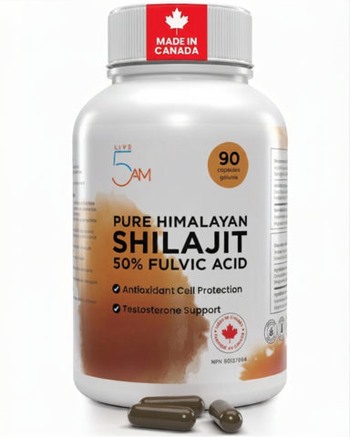 Shilajit 500mg