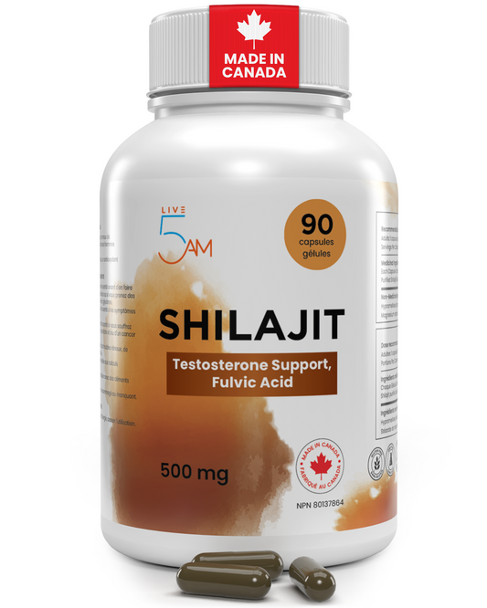 Shilajit 500 mg