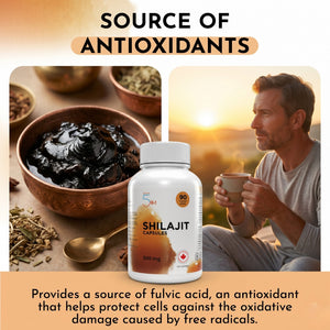 Live 5AM Shilajit 500mg supplement facts panel