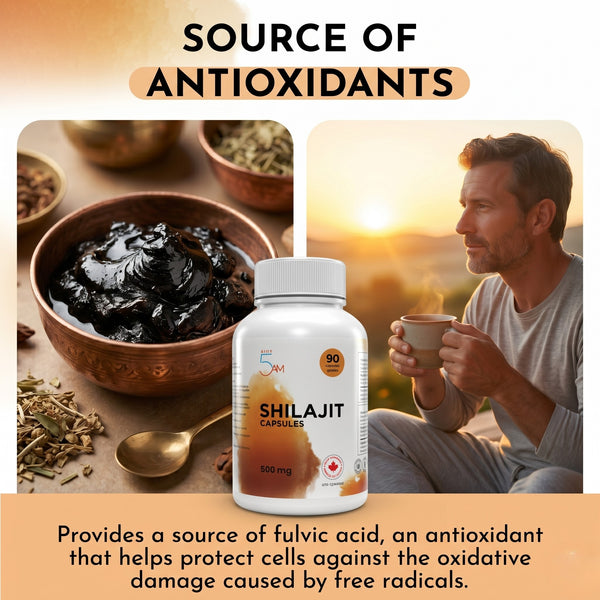 Live 5AM Shilajit 500mg supplement facts panel