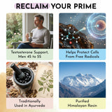 Live 5AM Shilajit 500mg for energy and vitality