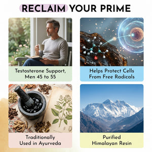 Live 5AM Shilajit 500mg for energy and vitality