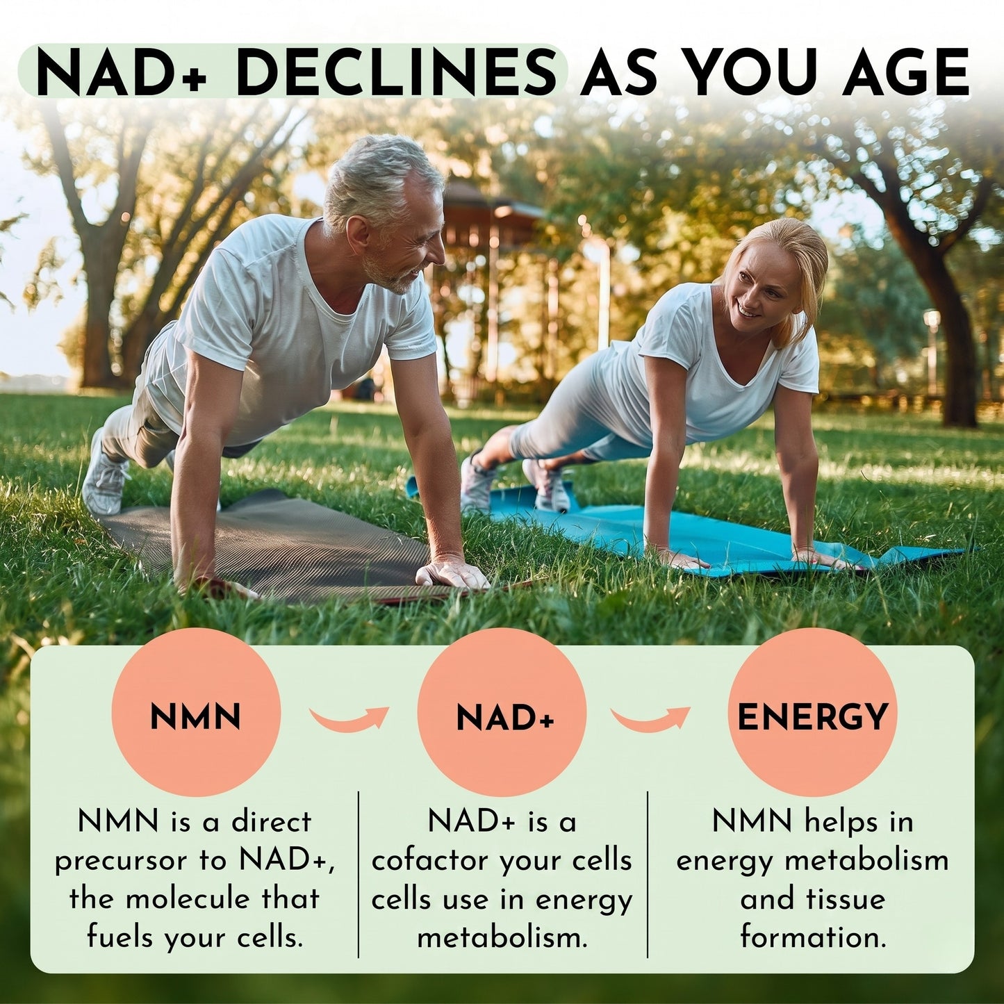 Live 5AM NMN 600mg supplement facts panel