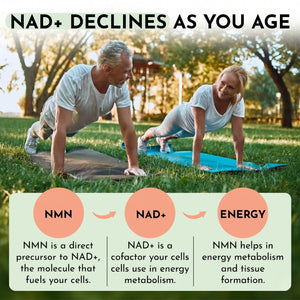 Live 5AM NMN 600mg supplement facts panel