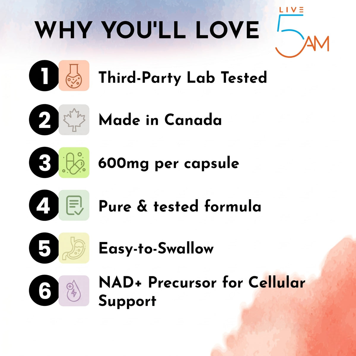 Live 5AM NMN 600mg vegan capsules for cellular energy