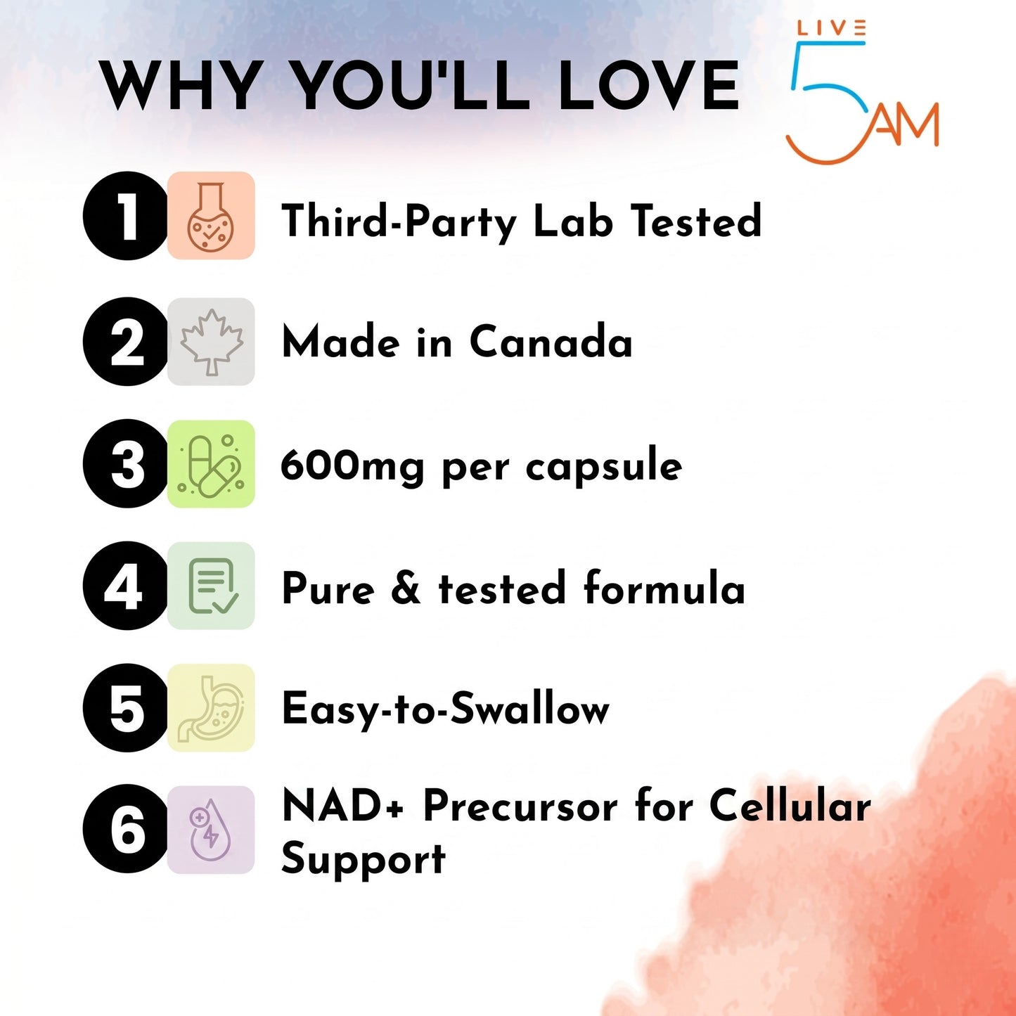 Live 5AM NMN 600mg vegan capsules for cellular energy