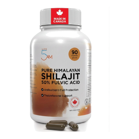 Shilajit 500mg